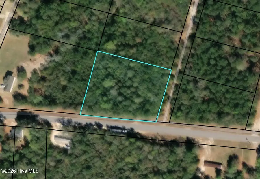 Lt 10 Turning Leaf Ln, Barnwell, SC 29812 - #3