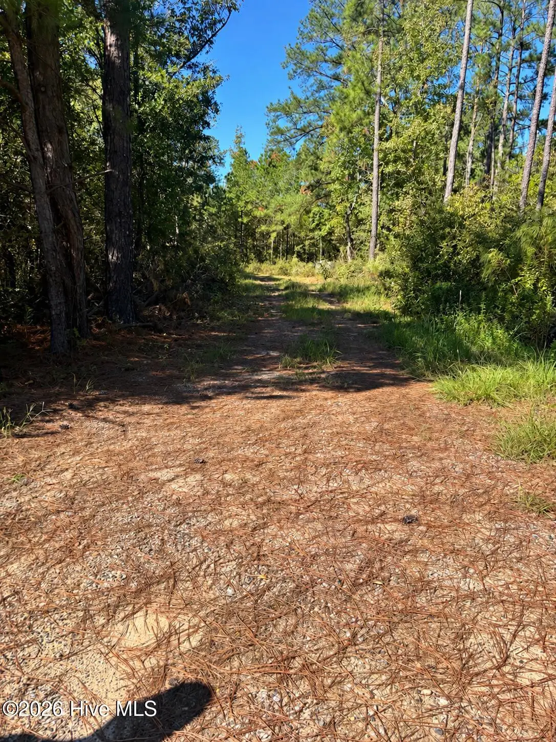 3245 Ga Highway 88, Blythe, GA 30805 - #1