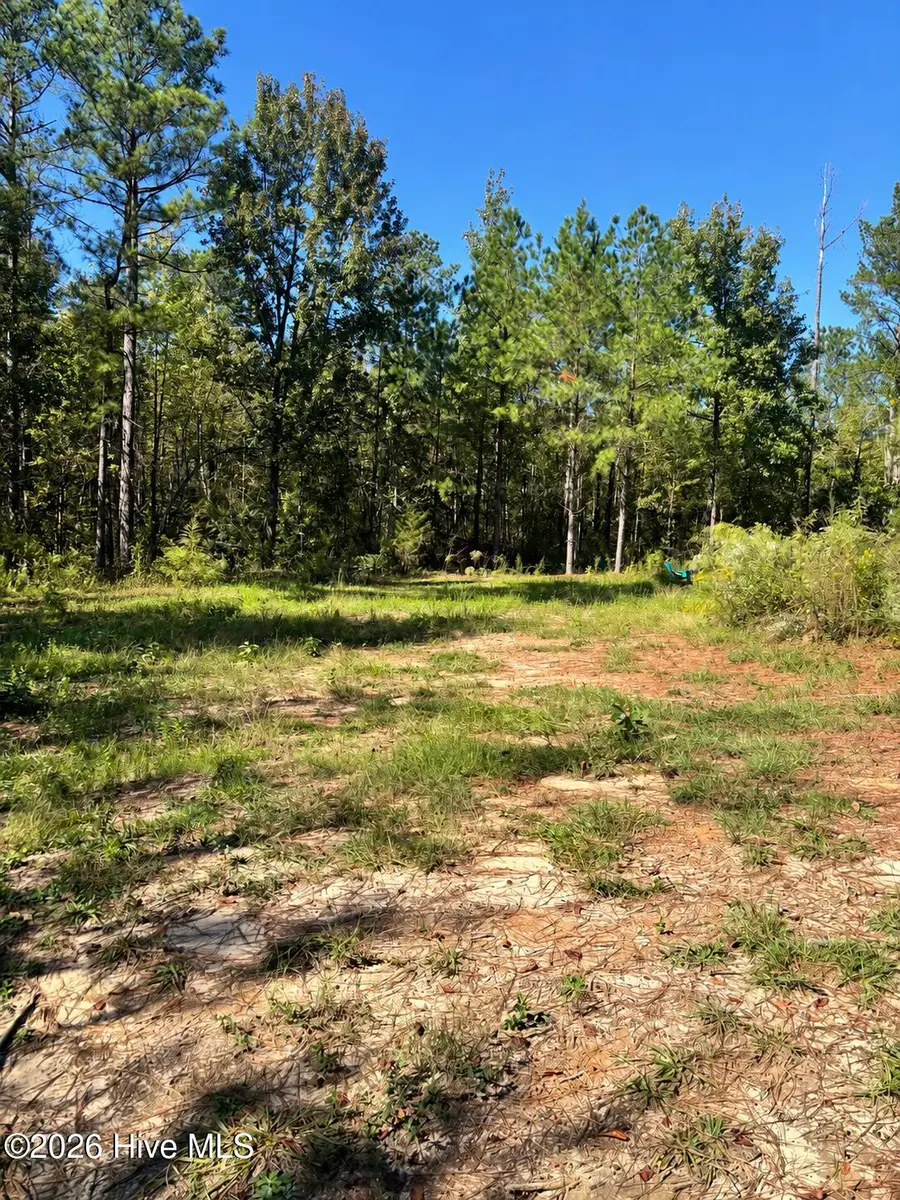 3245 Ga Highway 88, Blythe, GA 30805 - #2