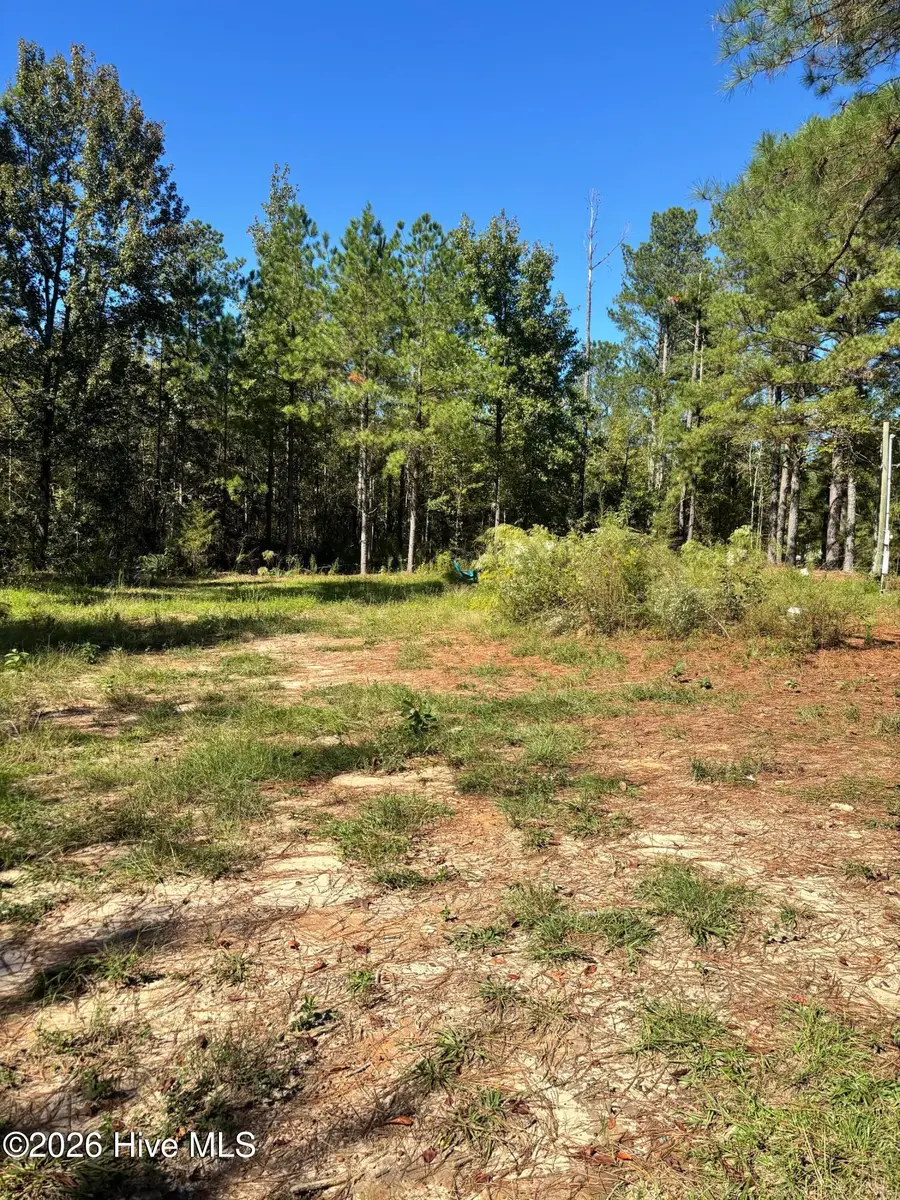 3245 Ga Highway 88, Blythe, GA 30805 - #3