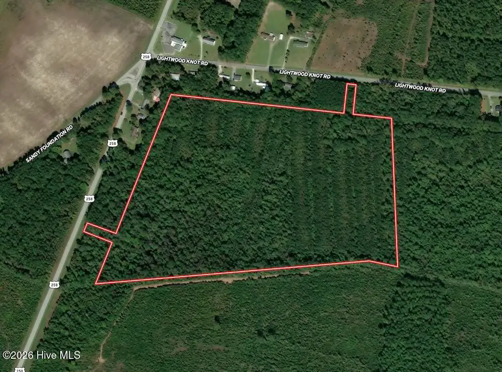 00 Hwy 258 S, Deep Run, NC 28525 - #1