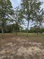 8 Windsor Road, Windsor, SC 29856 - #1