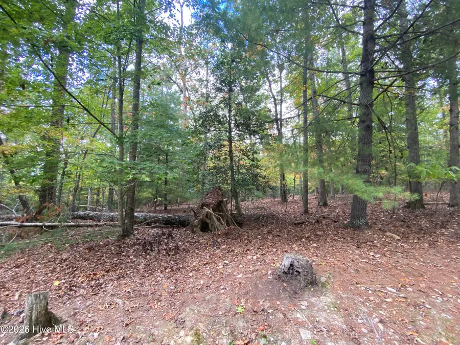 14 Mission Ridge, Hayesville, NC 28904 - #3