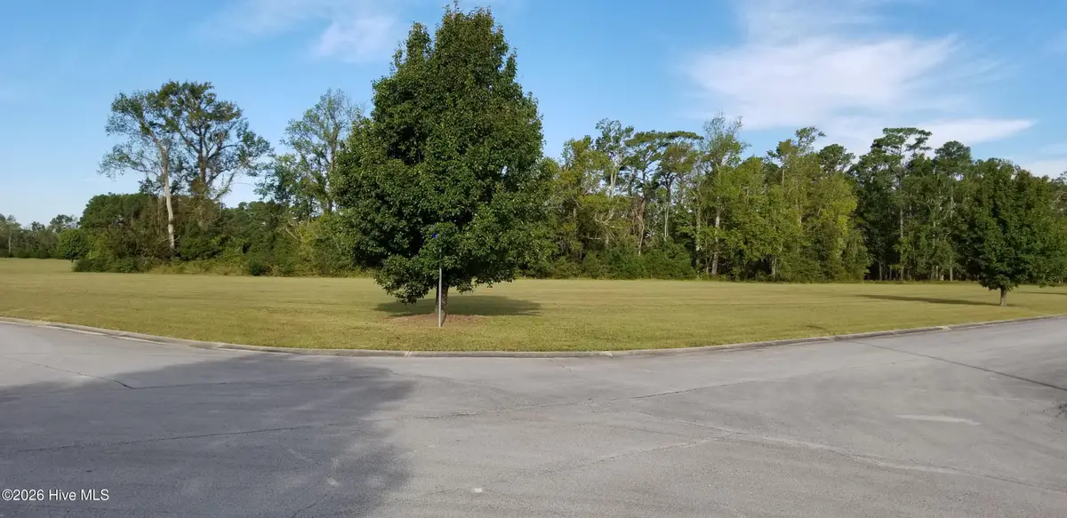 32 Josie Way, Arapahoe, NC 28510 - #1