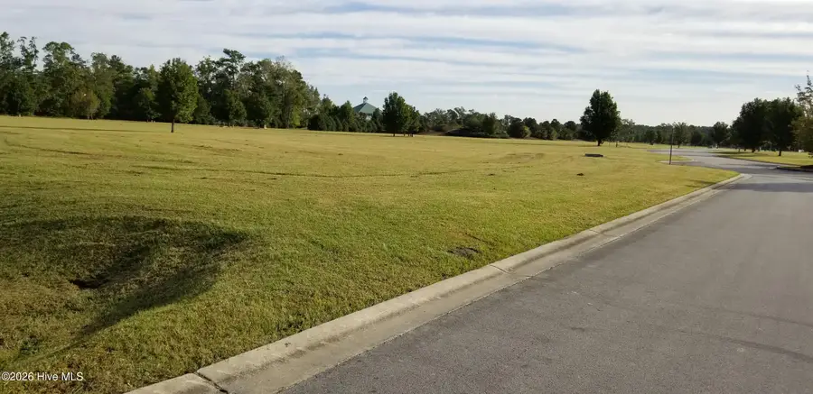 32 Josie Way, Arapahoe, NC 28510 - #3