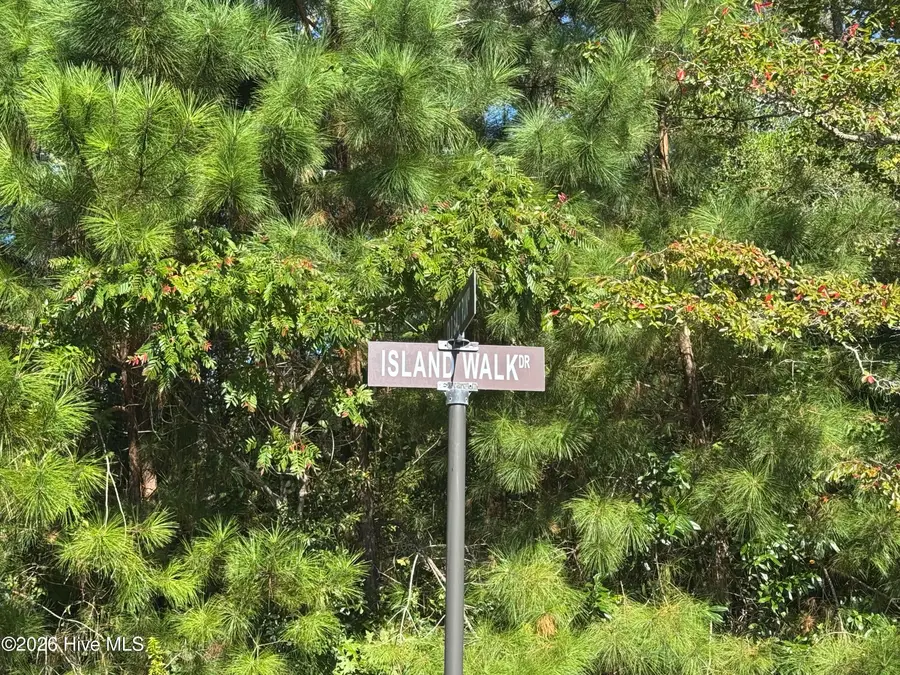 4828 Island Walk Drive Sw, Shallotte, NC 28470 - #3
