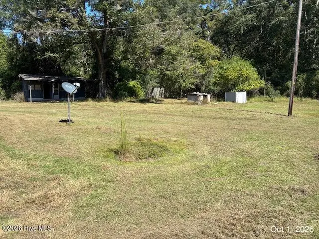 293 Sunshine Road, Blackville, SC 29817 - #2