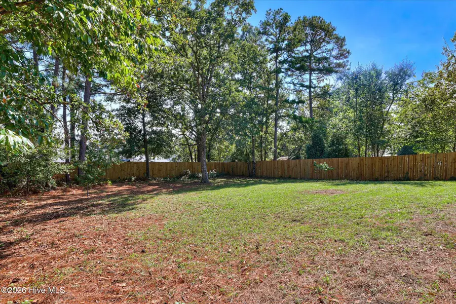 5308 Pleasant Pointe Drive, Warrenville, SC 29851 - #3