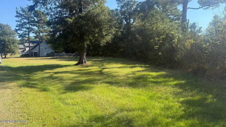 424 Huffmantown Road, Richlands, NC 28574 - #3
