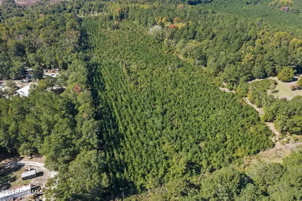 Tract 2 Scholl Rd, Hamlet, NC 28345