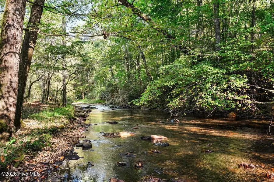 360 Serenity Lane, Hayesville, NC 28904 - #2