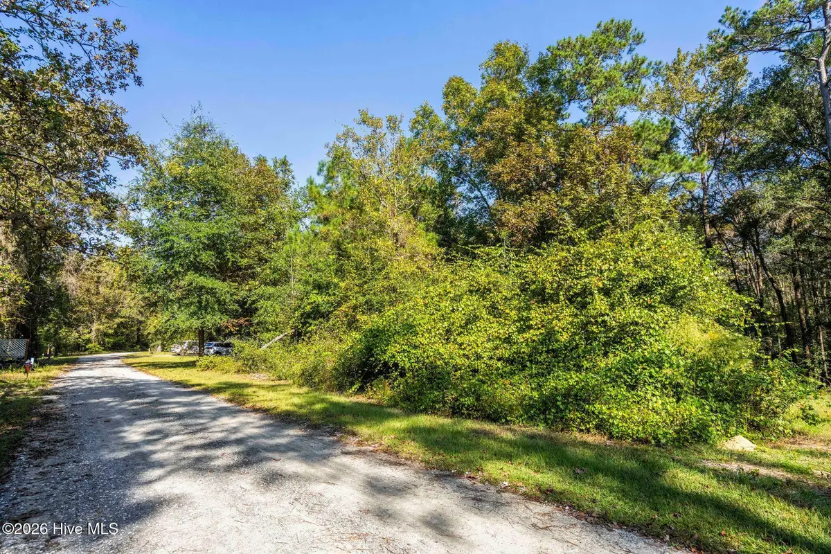 5 Riverview Drive, Burgaw, NC 28425 - #1