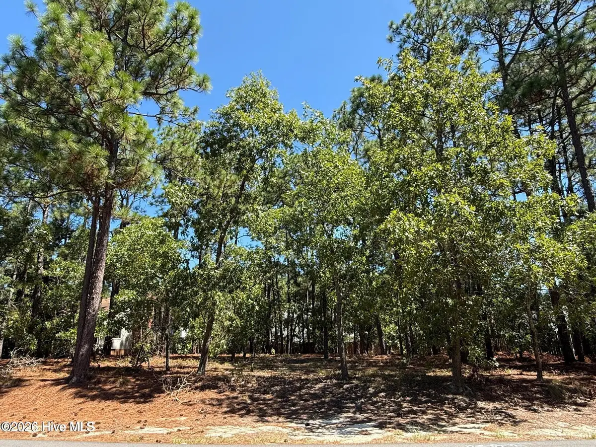 5 Fur Court W, Pinehurst, NC 28374 - #1