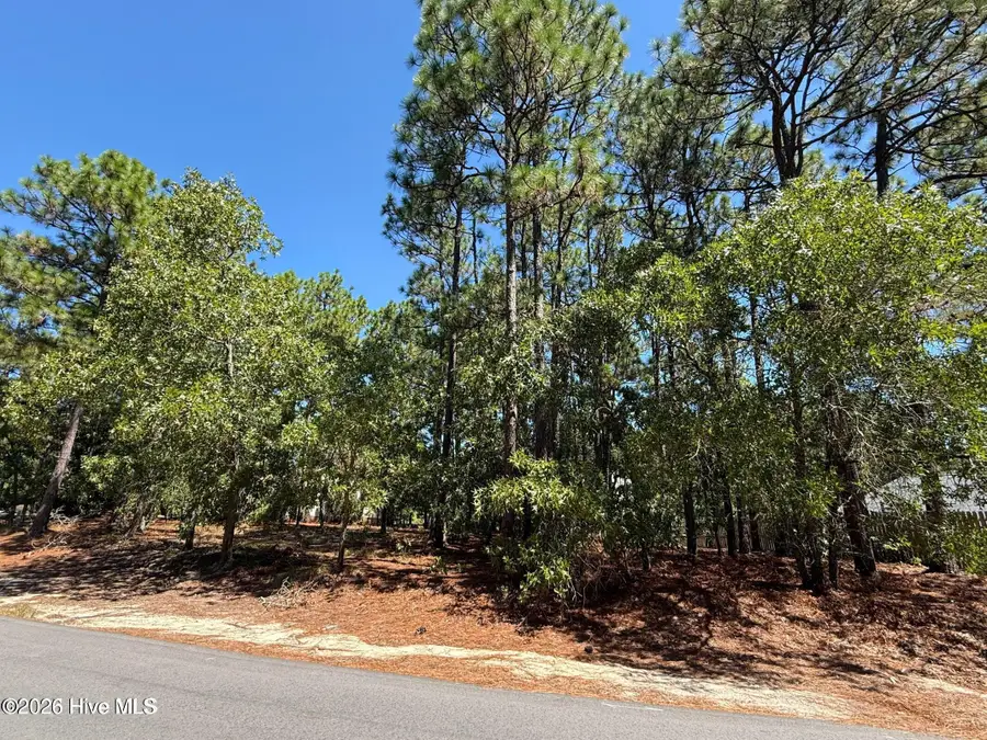 5 Fur Court W, Pinehurst, NC 28374 - #3