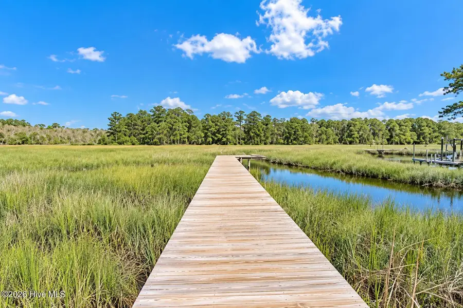 115 Canvasback Point, Hampstead, NC 28443 - #2