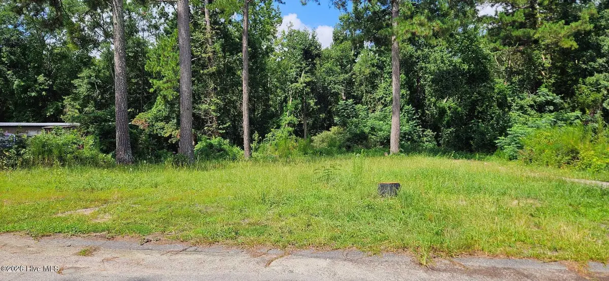 3222 Amanda Circle, Augusta, GA 30906 - #1