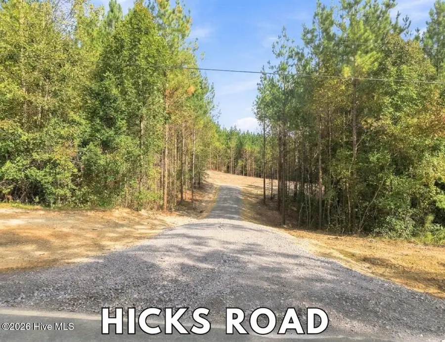 Lot 6 Capelsie Road, Candor, NC 27229 - #3