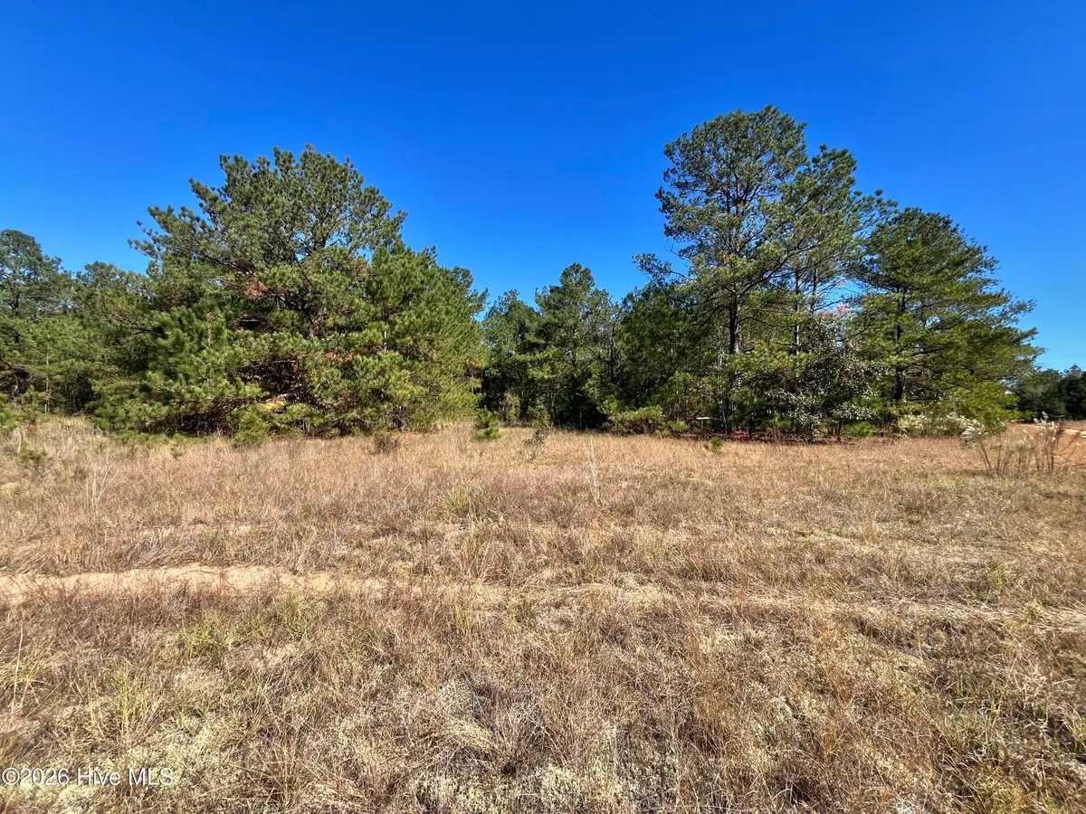 Lot 9 Jasper Davis Road, Avera, GA 30803 - #1