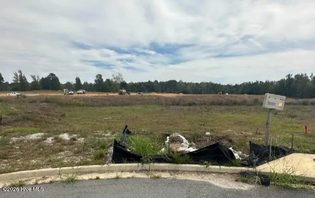1002 Berkley Court W, Thomson, GA 30824 - #1
