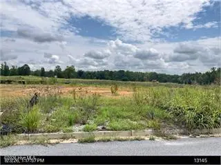 1256 Acadia Drive, Thomson, GA 30824 - #2