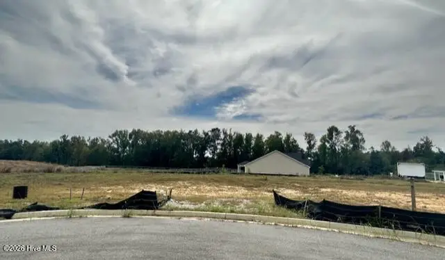 1008 Berkley Court, Thomson, GA 30824 - #2