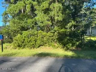 917 Sea Holly Court, New Bern, NC 28560