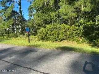 917 Sea Holly Court, New Bern, NC 28560 - #2