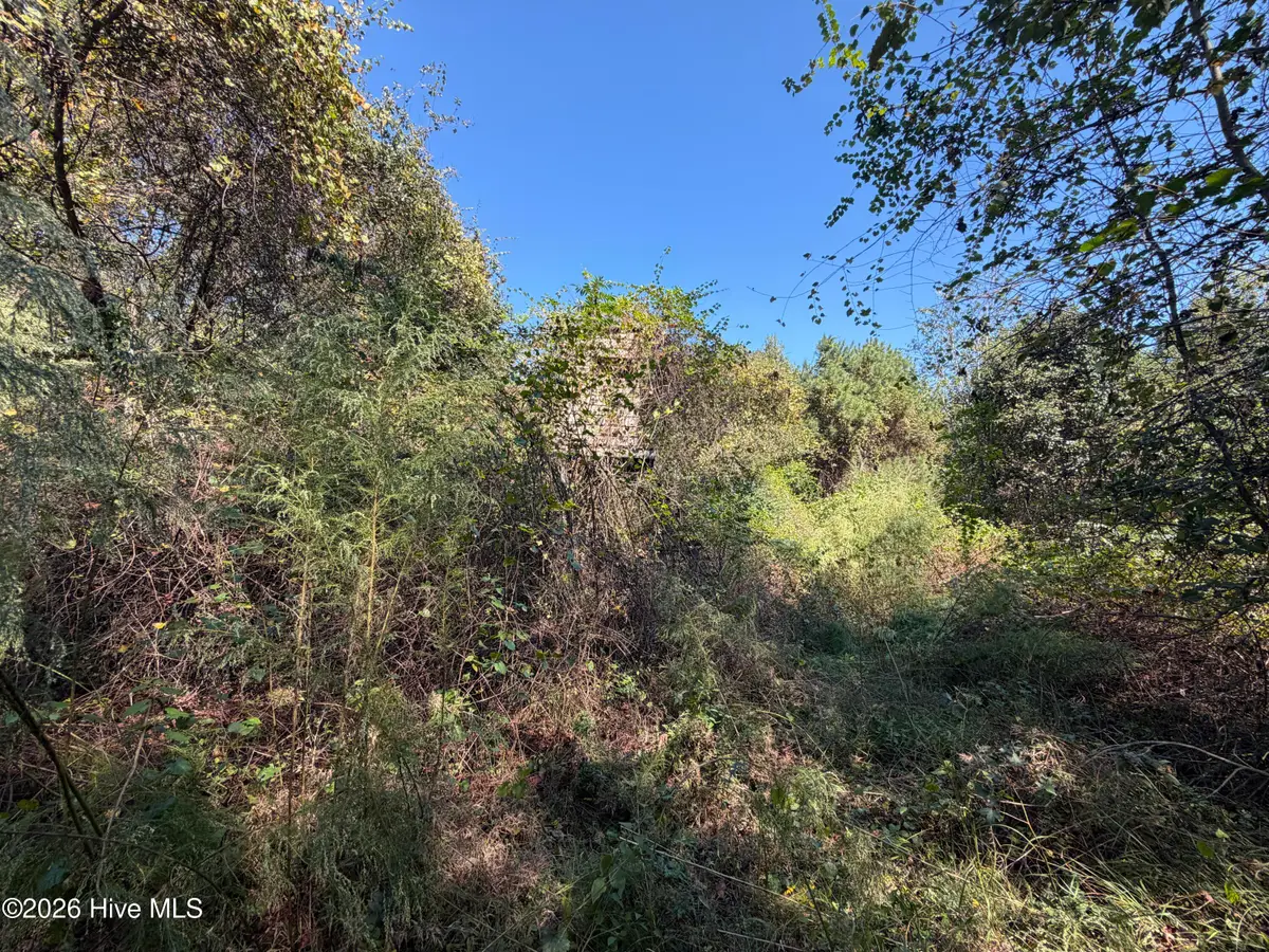 00 Faison Highway, Clinton, NC 28328 - #1
