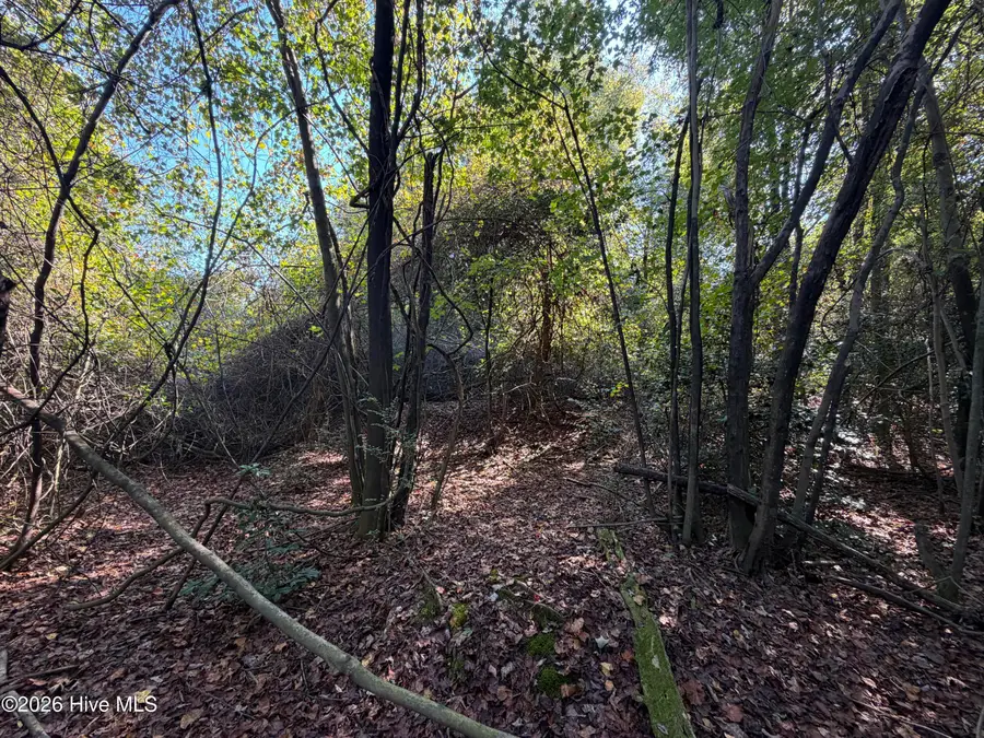 00 Faison Highway, Clinton, NC 28328 - #2