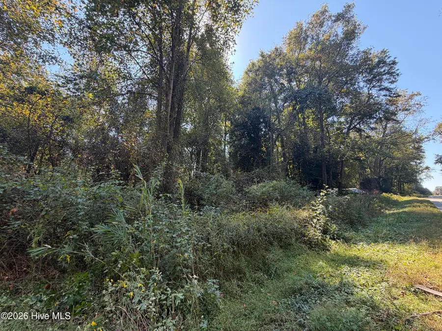 00 Faison Highway, Clinton, NC 28328 - #3