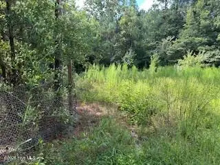 0 Old Chapell Ferry Road, Edgefield, SC 29824