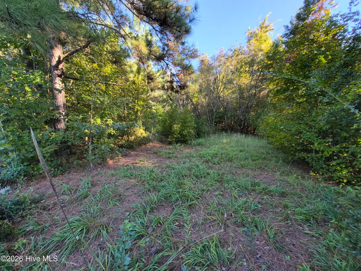 000 Ashton Road, Burgaw, NC 28425 - #1