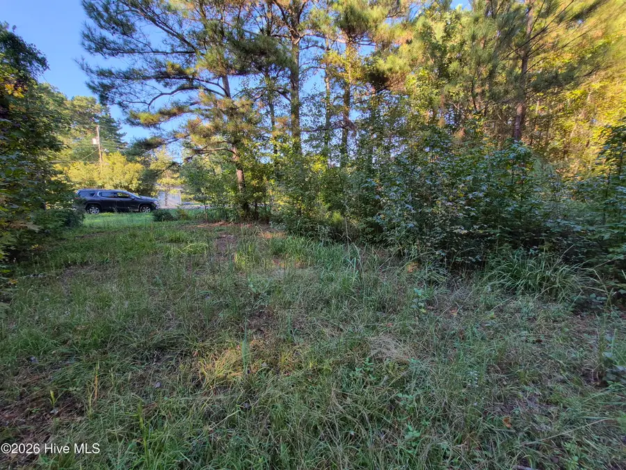 000 Ashton Road, Burgaw, NC 28425 - #2