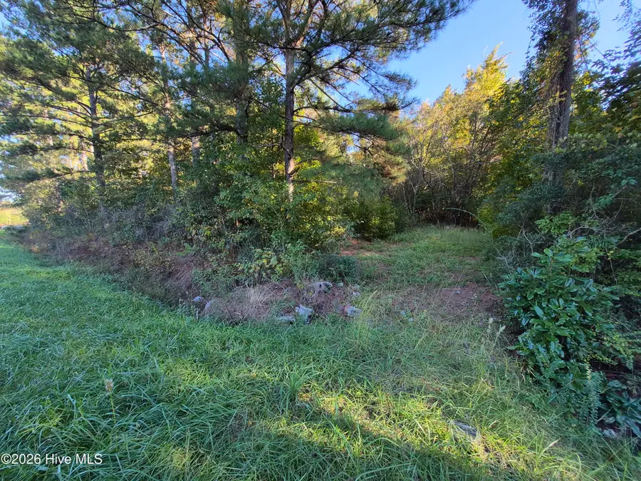 000 Ashton Road, Burgaw, NC 28425 - #3