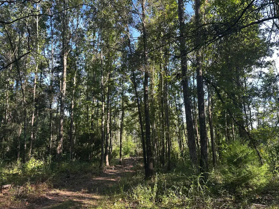 Lots 10,11 Bailey Road, Louisville, GA 30434 - #3