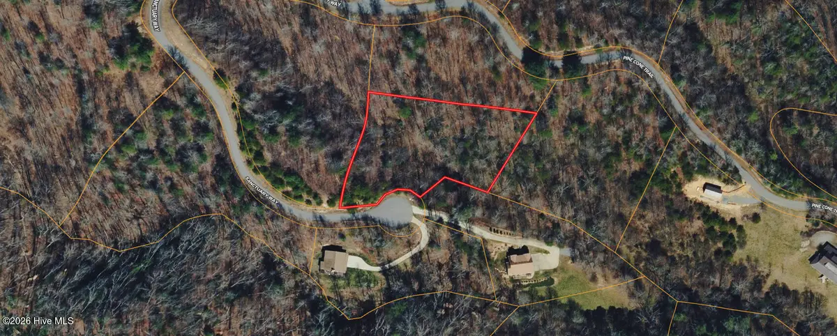 0 Sanctuary Way, Marshall, NC 28753 - #1