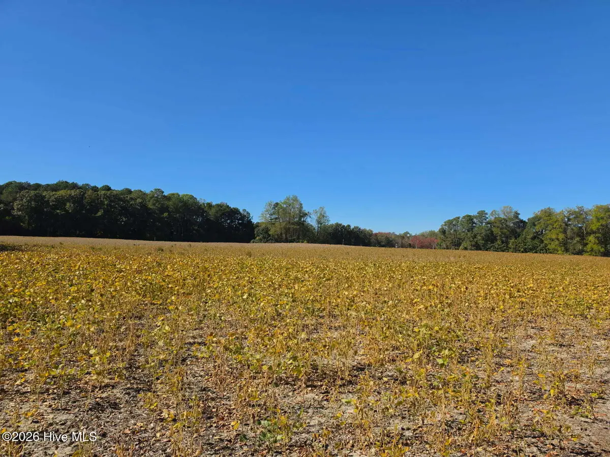 6236 Green Pond Road, Sims, NC 27880 - #1