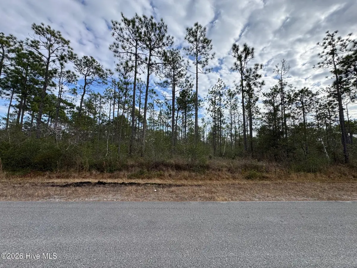 Lot 22 Pepperhill Road, Southport, NC 28461 - #1