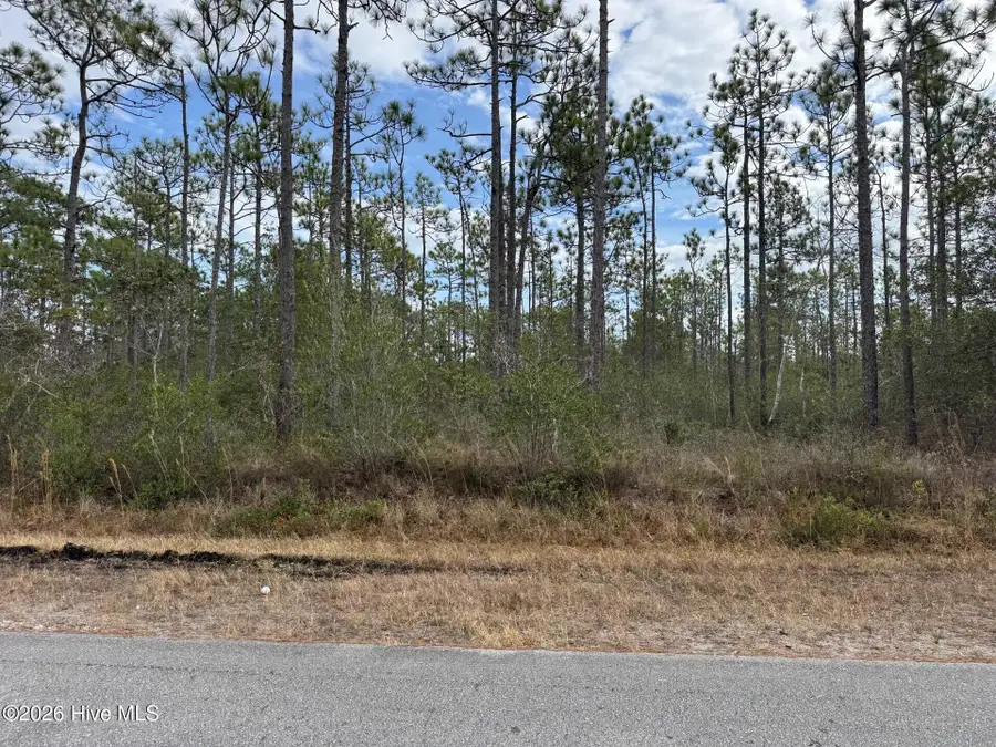 Lot 22 Pepperhill Road, Southport, NC 28461 - #2