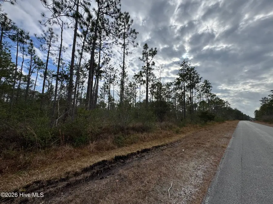 Lot 22 Pepperhill Road, Southport, NC 28461 - #3