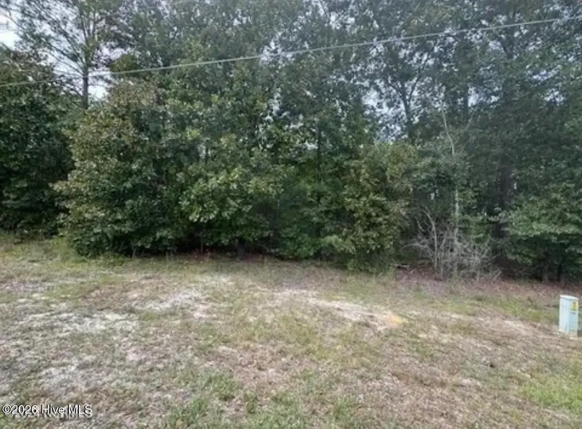 Lot 19 Ida Mill Road, Laurel Hill, NC 28351 - #1