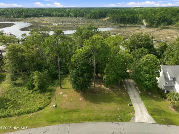 209 Creek View Circle, Sneads Ferry, NC 28460