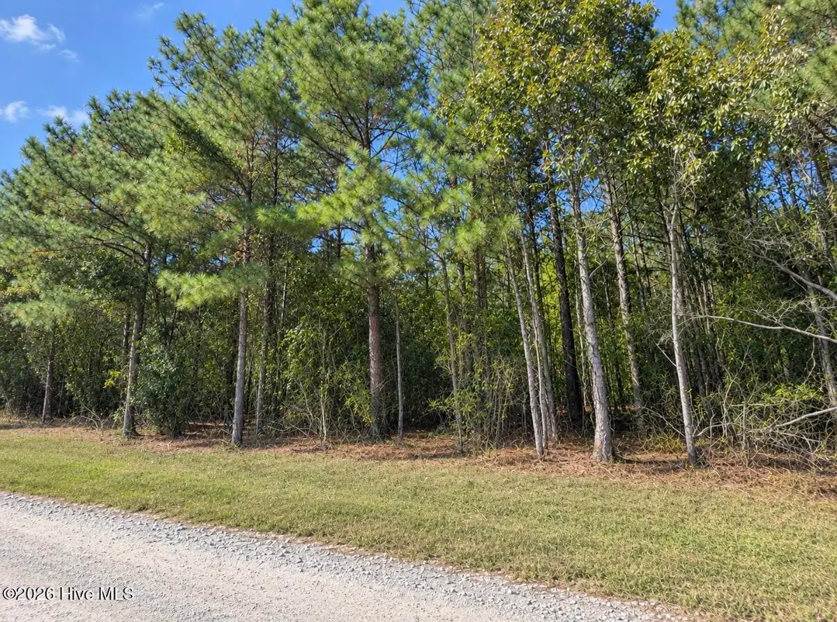 0 Default Street Lot 5, Scranton, NC 27875 - #1