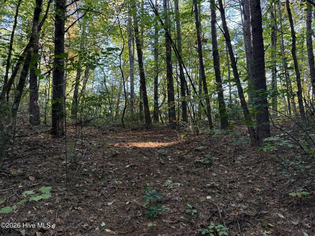 00 Rocky Creek Road, Andrews, NC 28901 - #1