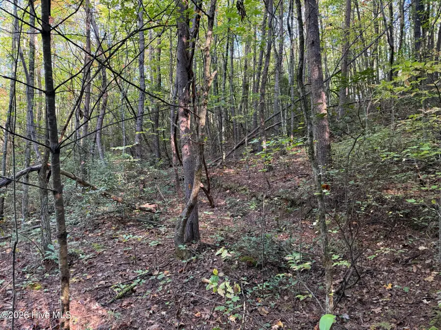 00 Rocky Creek Road, Andrews, NC 28901 - #3