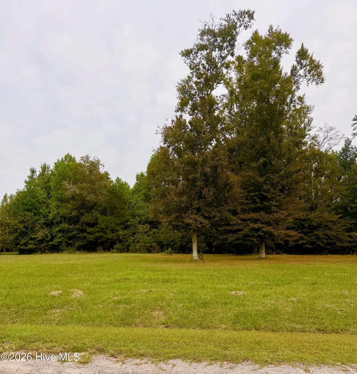 Lot 6 Loggerhead Court, Washington, NC 27889 - #1