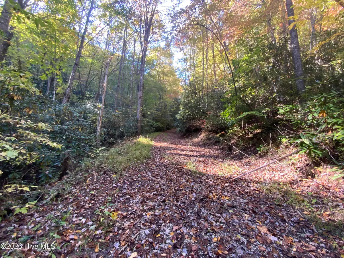00 Lot 2&3 Union Hill Road, Topton, NC 28781 - #1