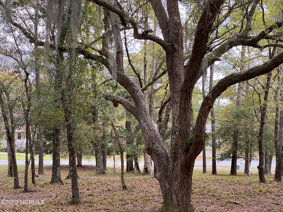 3234 Island Drive Se, Bolivia, NC 28422 - #3