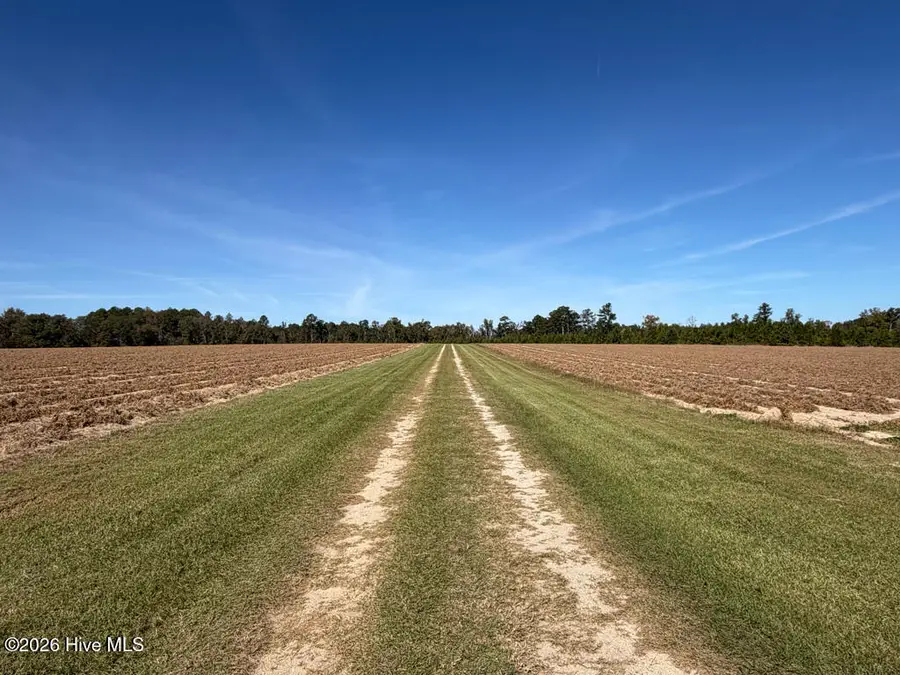 0 George Williams Road, Louisville, GA 30434 - #2
