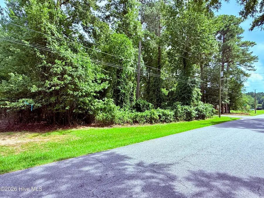 #6 Pine Street, La Grange, NC 28551 - #2